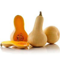 Butternut Squash Pumpkin by piece